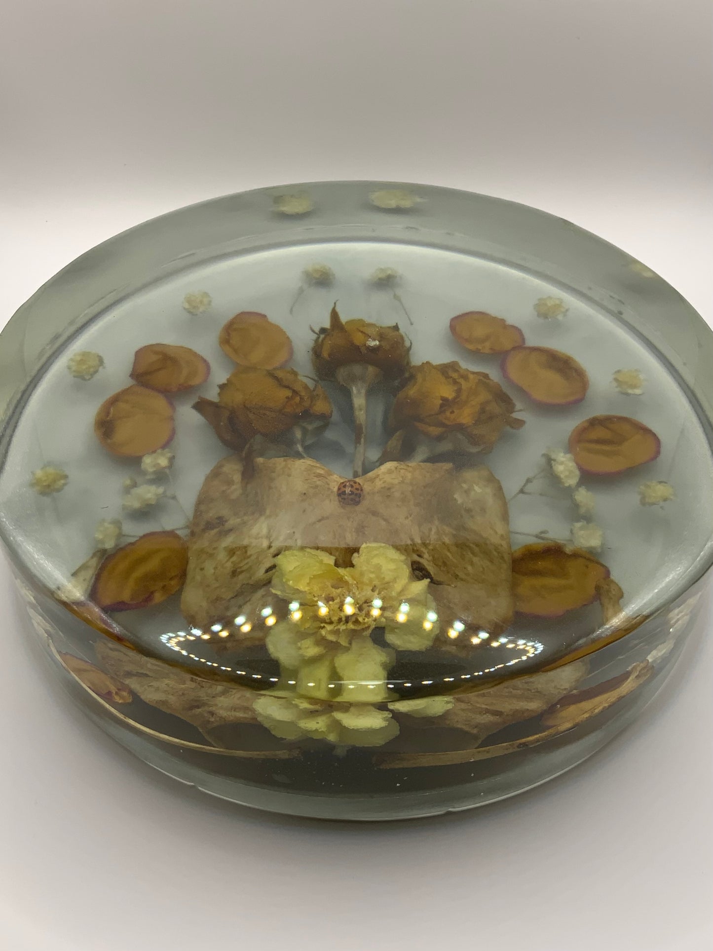 Fall Beauty Resin decor