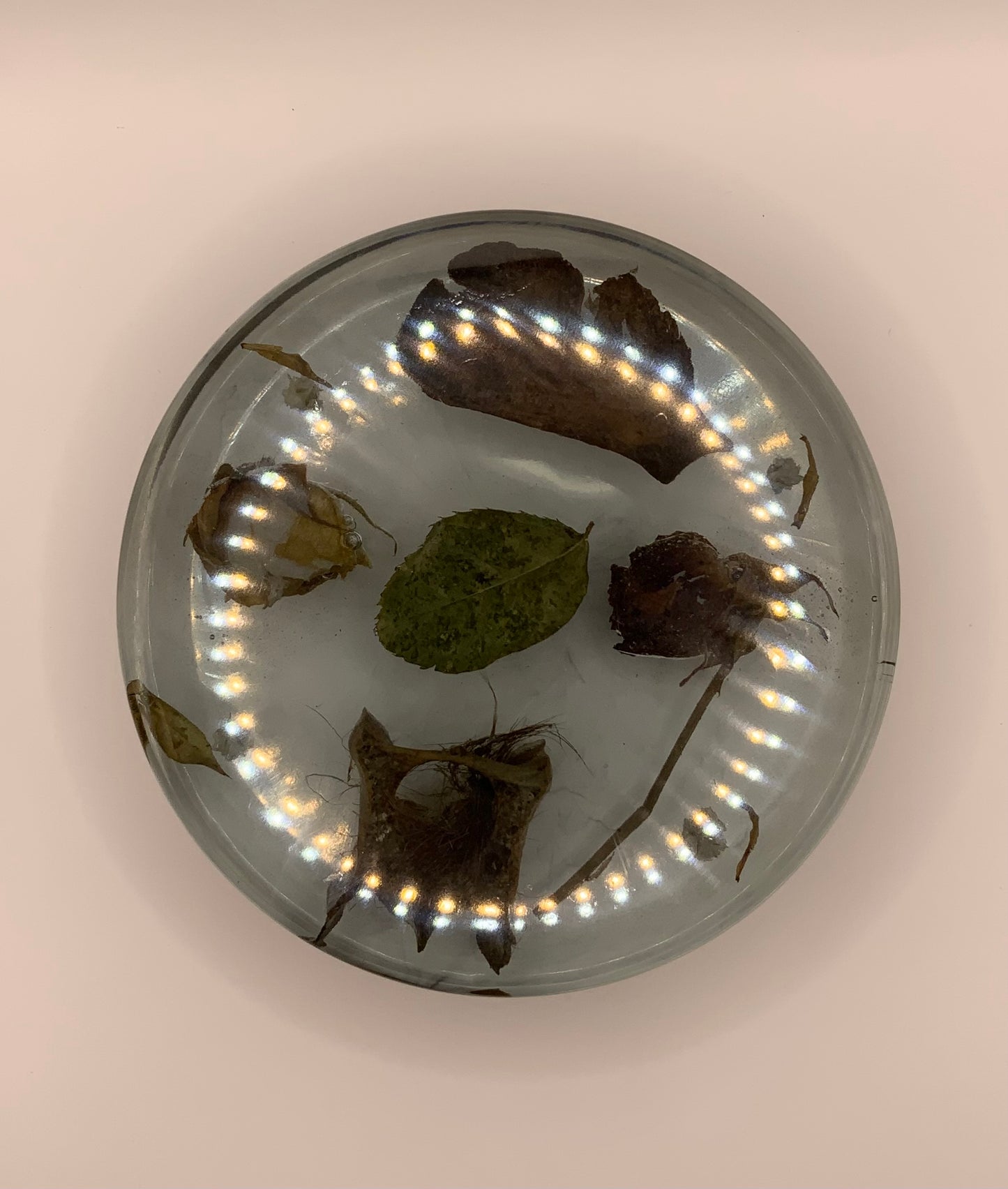 Surrender Resin decor